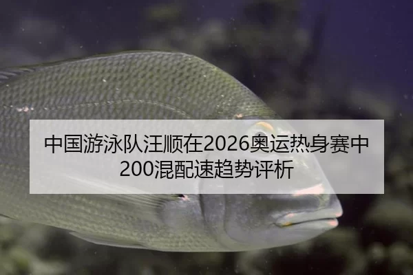 中国游泳队汪顺在2026奥运热身赛中200混配速趋势评析